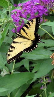 366026651_837297018184919_277613264330224295_n